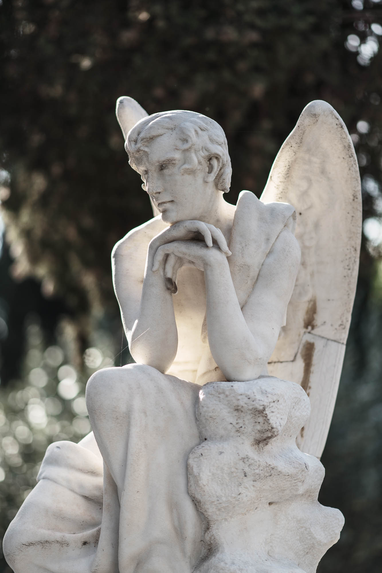 Εδώ όπως στην τρίτη φωτό το φως είναι από πίσω κάνοντας περίγραμμα. Αν αυξήσουμε τα κοντράστ θα έχουμε άλλο μήνυμα σε σχέση με τις χαμηλές αντιθέσεις